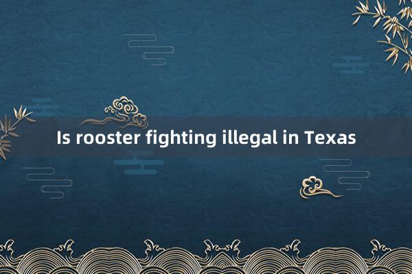 Is rooster fighting illegal in Texas