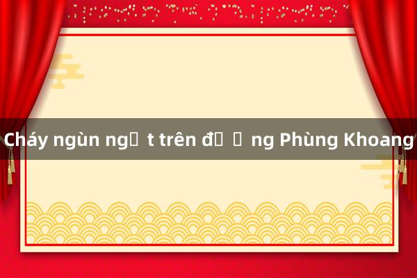 Cháy ngùn ngụt trên đường Phùng Khoang