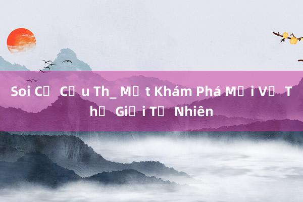 Soi Củ Cấu Th_ Một Khám Phá Mới Về Thế Giới Tự Nhiên