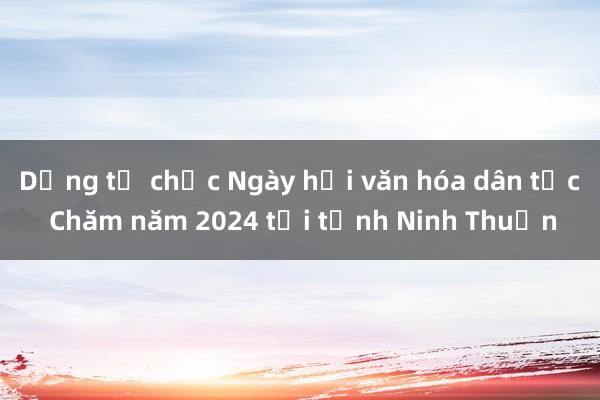 Dừng tổ chức Ngày hội văn hóa dân tộc Chăm năm 2024 tại tỉnh Ninh Thuận