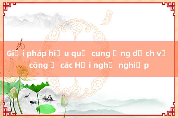 Giải pháp hiệu quả cung ứng dịch vụ công ở các Hội nghề nghiệp