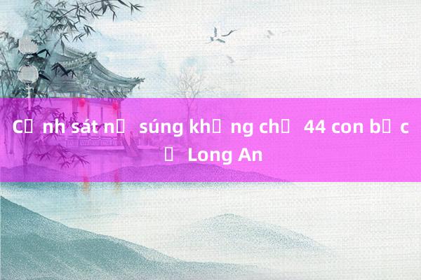 Cảnh sát nổ súng khống chế 44 con bạc ở Long An