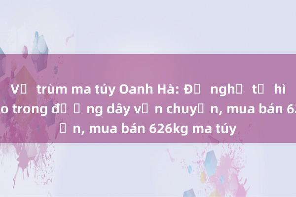 Vụ trùm ma túy Oanh Hà: Đề nghị tử hình 28 bị cáo trong đường dây vận chuyển， mua bán 626kg ma túy