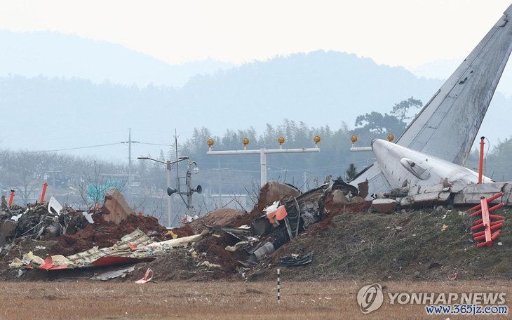 Hãng hàng không giá rẻ Jeju Air đầy sai phạm - Ảnh 1.