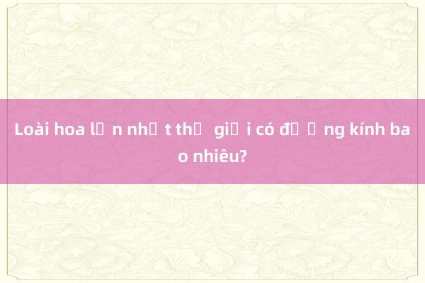 Loài hoa lớn nhất thế giới có đường kính bao nhiêu?